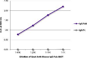 ELISA plate was coated with purified mouse IgG Fab and IgG Fc. (Goat anti-Mouse IgG (Fab Region) Antibody (Biotin))