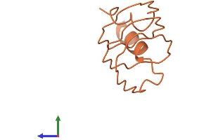 AlphaFold protein structure predicition of Human Recombinant KRTAP21-2 Protein, UniprotID Q3LI59 (KRTAP21-2 Protein (AA 1-83) (Fc Tag))