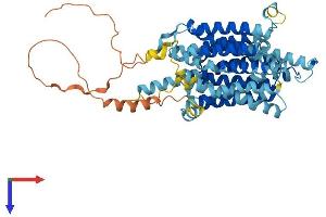SLC45A2 Protein (AA 1-530) (His tag)