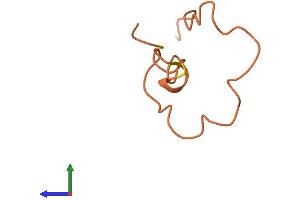 AlphaFold protein structure predicition of Human Recombinant KRTAP19-2 Protein, UniprotID Q3LHN2 (KRTAP19-2 Protein (AA 1-52) (Fc Tag))