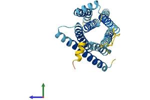 Protein Structure (PS) image for Taste Receptor, Type 2, Member 16 (TAS2R16) (AA 1-291) protein (His tag) (ABIN7544101)