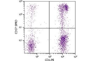 Human peripheral blood lymphocytes were stained with Mouse Anti-Human CD57-SPRD. (CD57 antibody  (SPRD))