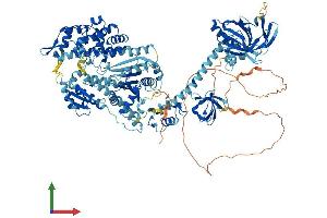 Protein Structure (PS) image for Myosin IE (MYO1E) (AA 1-1108) protein (His tag) (ABIN7554648)