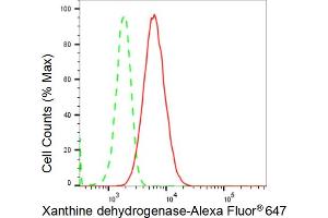 Flow cytometric analysis of Xanthine dehydrogenase expression in HepG2 cells using Xanthine dehydrogenase antibody (ABIN7800881), 1:2,000).