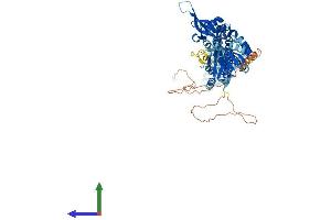 AlphaFold protein structure predicition of Human Recombinant CNNM4 Protein, UniprotID Q6P4Q7