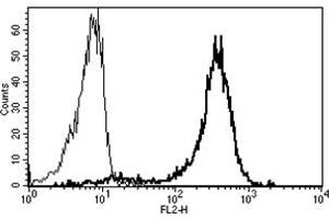 Flow Cytometry (FACS) image for anti-Alanyl (Membrane) Aminopeptidase (ANPEP) antibody (PE) (ABIN1105840) (CD13 antibody  (PE))