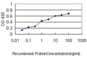 Detection limit for recombinant GST tagged ERBB2IP is approximately 0. (ERBB2IP antibody  (AA 1272-1371))