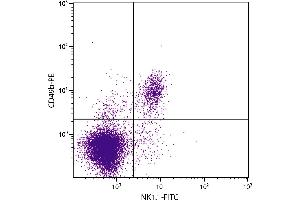 C57BL/6 mouse splenocytes were stained with Mouse Anti-Mouse NK1. (NK-1.1/CD161c antibody  (FITC))