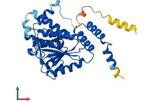 AlphaFold protein structure predicition of Human Recombinant ECHDC1 Protein, UniprotID Q9NTX5