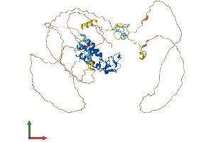 AlphaFold protein structure predicition of Mouse Recombinant Msl2 Protein, UniprotID Q69ZF8