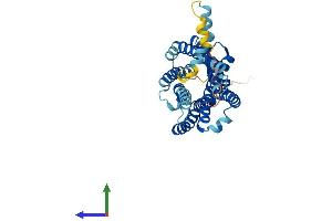 Protein Structure (PS) image for Chemokine (C-C Motif) Receptor 1 (CCR1) (AA 1-355) protein (His tag) (ABIN7563389)