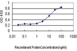 Detection limit for recombinant GST tagged SNX12 is approximately 1ng/ml as a capture antibody. (SNX12 antibody  (AA 53-159))