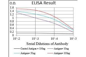 Black line: Control Antigen (100 ng), Purple line: Antigen(10 ng), Blue line: Antigen (50 ng), Red line: Antigen (100 ng), (BPIFA2 antibody  (AA 16-169))