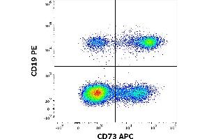 Flow cytometry multicolor surface staining pattern of human lymphocytes using anti-human CD73 (AD2) APC antibody (10 μL reagent / 100 μL of peripheral whole blood) and anti-human CD19 (LT19) PE antibody(20 μL reagent / 100 μL of peripheral whole blood). (CD73 antibody  (APC))