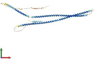 AlphaFold protein structure predicition of Human Recombinant GFAP Protein, UniprotID P14136 (GFAP Protein (AA 1-432) (His tag))