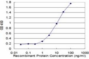 ACTR1A antibody  (AA 279-375)