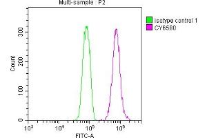 Overlay histogram showing Hela cells stained with ABIN7127462 (red line) at 1:50. (Recombinant E2F1 antibody)