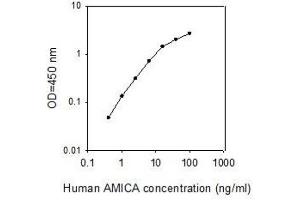 JAML ELISA Kit