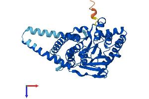AlphaFold protein structure predicition of Mouse Recombinant Agpat4 Protein, UniprotID Q8K4X7 (AGPAT4 Protein (AA 1-378) (His tag))