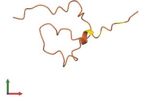 AlphaFold protein structure predicition of Human Recombinant KRTAP19-2 Protein, UniprotID Q3LHN2 (KRTAP19-2 Protein (AA 1-52) (Fc Tag))