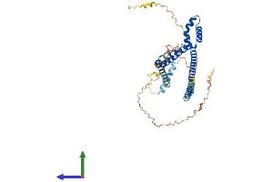 AlphaFold protein structure predicition of Mouse Recombinant Smarce1 Protein, UniprotID O54941 (SMARCE1 Protein (AA 1-411) (His tag))