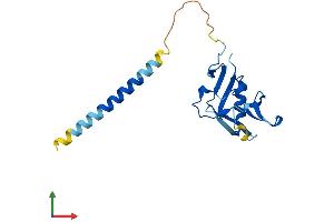 AlphaFold protein structure predicition of Mouse Recombinant Klrd1 Protein, UniprotID O54707 (CD94 Protein (AA 1-179) (His tag))