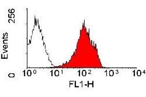 Flow Cytometry (FACS) image for anti-MHC Class I (RT1a) antibody (ABIN2475602) (MHC Class I (RT1a) antibody)