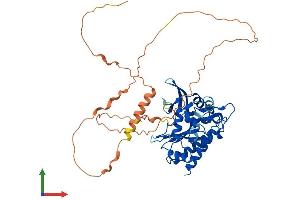 Protein Structure (PS) image for Inositol-Trisphosphate 3-Kinase A (ITPKA) (AA 1-459) protein (His tag) (ABIN7559618)
