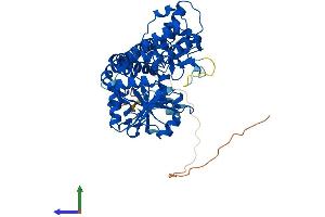 AlphaFold protein structure predicition of Human Recombinant NT5DC3 Protein, UniprotID Q86UY8 (NT5DC3 Protein (AA 1-548) (His tag))