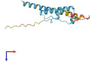 AlphaFold protein structure predicition of Human Recombinant KRBOX1 Protein, UniprotID C9JBD0 (KRBOX1 Protein (AA 1-128) (His tag))