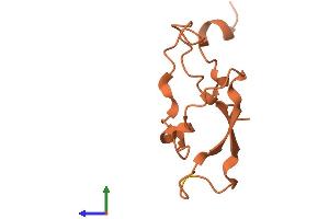 AlphaFold protein structure predicition of Mouse Recombinant Sprr2a1 Protein, UniprotID Q9CQK8 (SPRR2A Protein (AA 1-83) (Fc Tag))