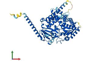 Protein Structure (PS) image for Cytochrome P450, Family 4, Subfamily Z, Polypeptide 1 (CYP4Z1) (AA 1-505) protein (His tag) (ABIN7546737)