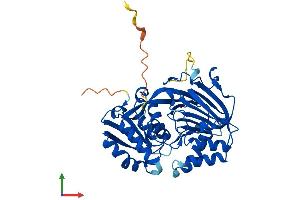 AlphaFold protein structure predicition of Mouse Recombinant Sphk1 Protein, UniprotID Q8CI15 (SPHK1 Protein (AA 1-382) (His tag))