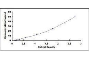 Cholinergic Receptor, Muscarinic 3 (CHRM3) ELISA Kit
