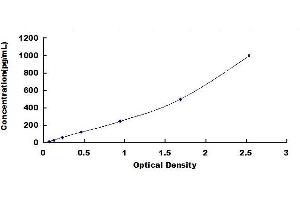 Typical standard curve (Cardiotrophin 1 ELISA Kit)