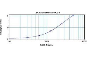 Enzyme Immunoassay (EIA) image for anti-delta-Like 4 (DLL4) antibody (Biotin) (ABIN568942) (DLL4 antibody  (Biotin))
