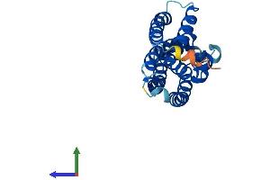 Protein Structure (PS) image for Translin (TSN) (AA 1-228) protein (His tag) (ABIN7557784)