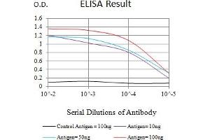 Black line: Control Antigen (100 ng),Purple line: Antigen (10 ng), Blue line: Antigen (50 ng), Red line:Antigen (100 ng) (RBM9 antibody  (AA 1-145))