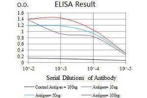 Black line: Control Antigen (100 ng), Purple line: Antigen(10 ng), Blue line: Antigen (50 ng), Red line: Antigen (100 ng), (GATA6 antibody  (AA 491-557))