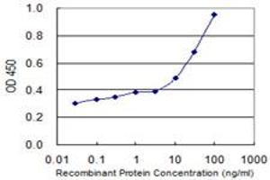 Detection limit for recombinant GST tagged ADPRH is 3 ng/ml as a capture antibody. (ADPRH antibody  (AA 23-121))