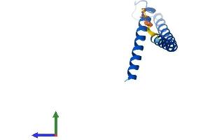 AlphaFold protein structure predicition of Mouse Recombinant Timm10b Protein, UniprotID Q9WV96 (TIMM10B Protein (AA 1-100) (His tag))