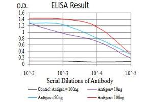 Fig. (LRP1 antibody  (AA 20-155))