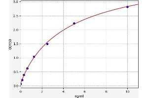 CD33 ELISA Kit