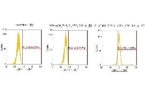 Flow Cytometry (FACS) image for anti-Calcium and Integrin-Binding Protein 1 (CIB1) (AA 1-191) antibody (APC) (ABIN5564730) (CIB1 antibody  (AA 1-191) (APC))