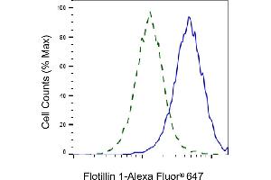 Validation of Flotillin 1 knockdown using flow cytometry. (Recombinant Flotillin 1 antibody)