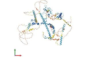 AlphaFold protein structure predicition of Human Recombinant SF3B2 Protein, UniprotID Q13435 (SF3B2 Protein (AA 1-895) (His tag))