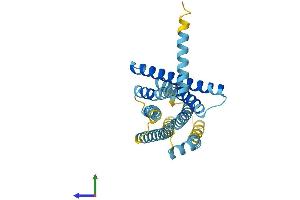 AlphaFold protein structure predicition of Mouse Recombinant Tas2r107 Protein, UniprotID Q7M725 (TAS2R107 Protein (AA 1-308) (His tag))