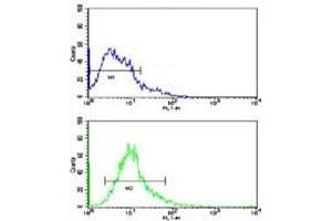 Flow cytometric analysis of Y79 cells using Beclin antibody (bottom histogram) compared to a negative control (top histogram). (Beclin 1 antibody  (AA 210-239))