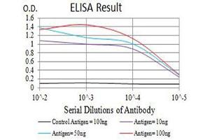 Black line: Control Antigen (100 ng),Purple line: Antigen (10 ng), Blue line: Antigen (50 ng), Red line:Antigen (100 ng) (CHRNA4 antibody  (AA 29-242))