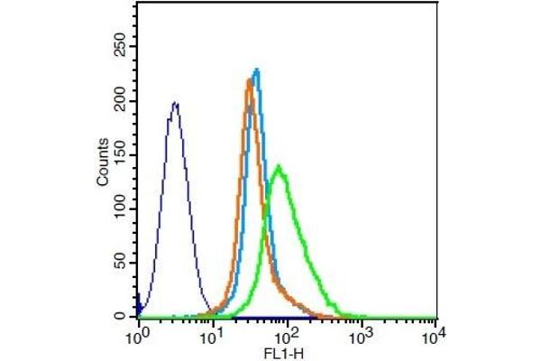 CAPRIN2 antibody  (AA 101-200)